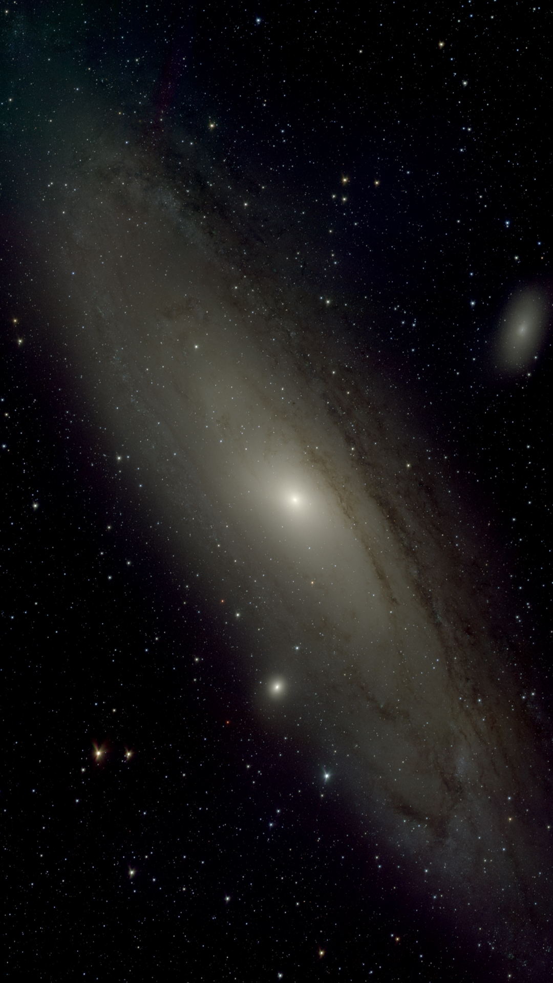 M31