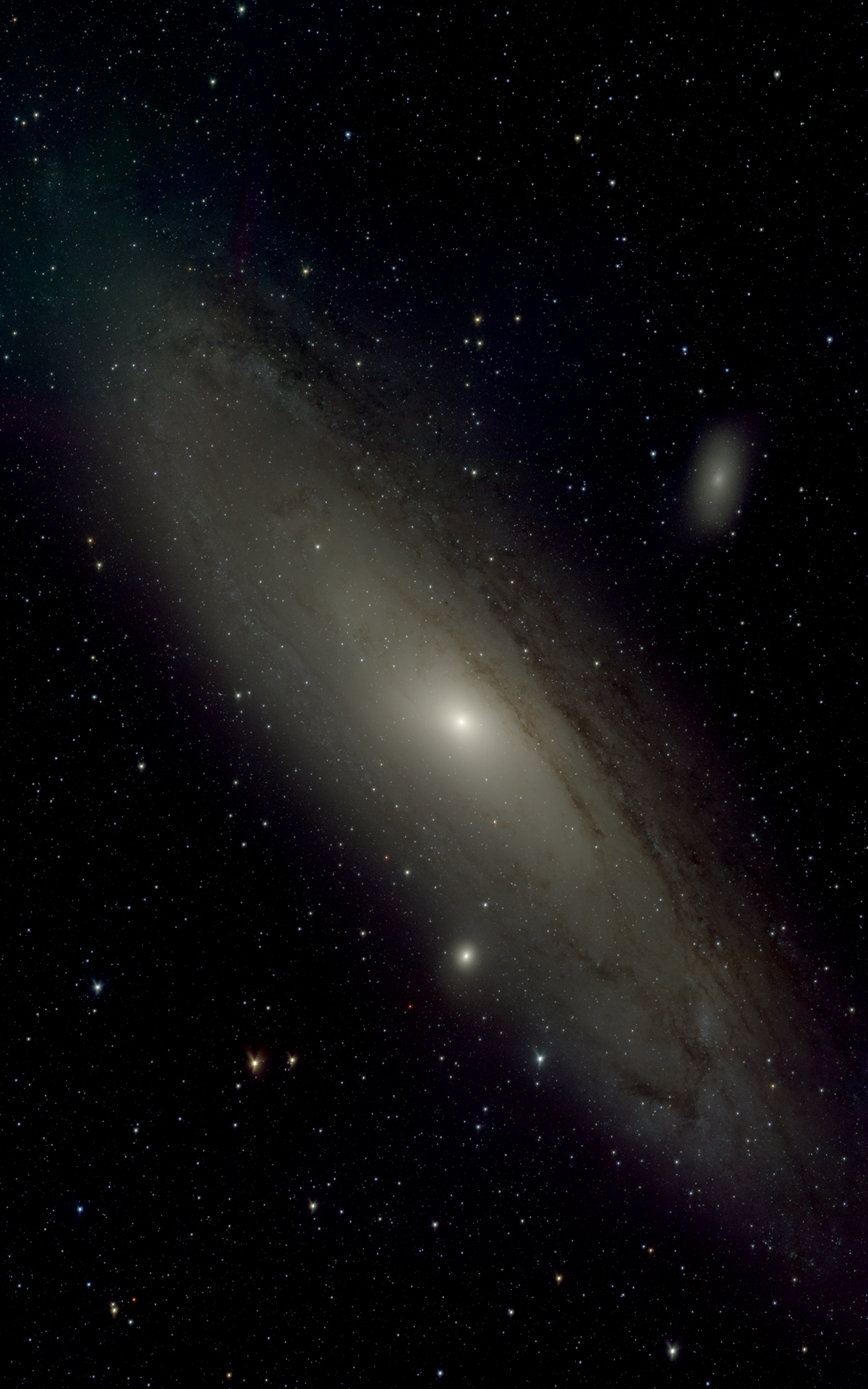 M31