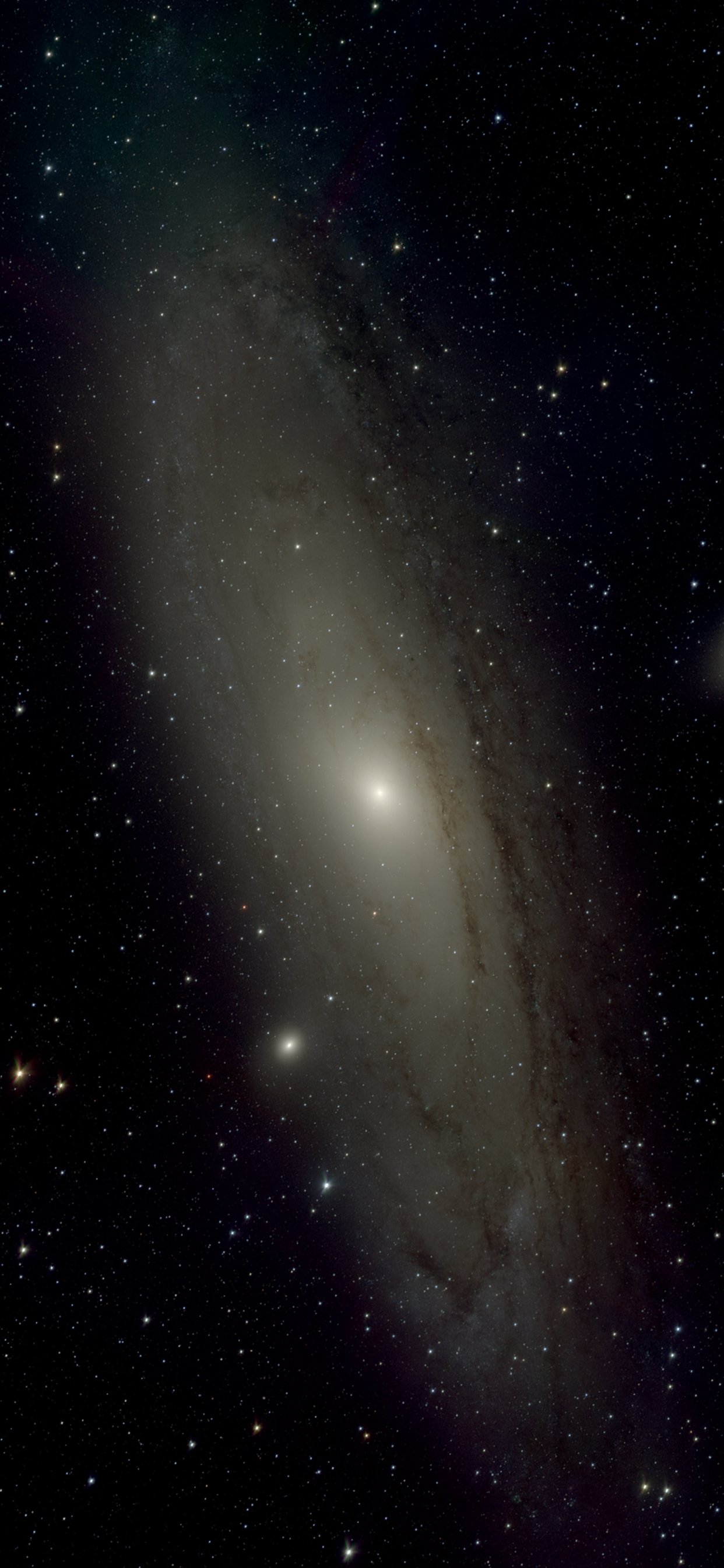 M31