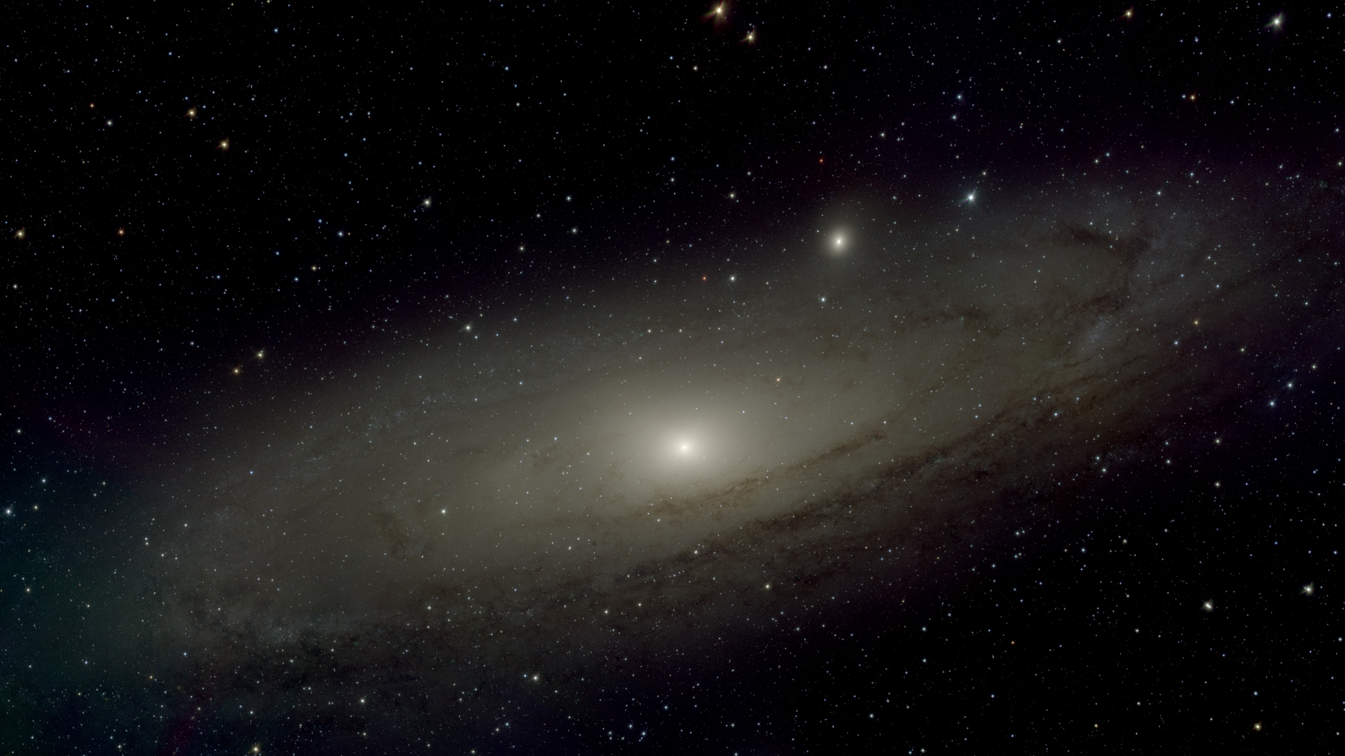 M31